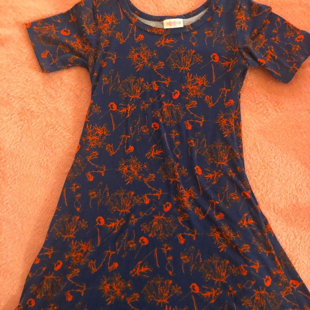 LuLaRoe Dress!